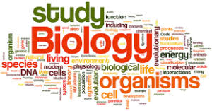 BIOLOGY FOR HSC