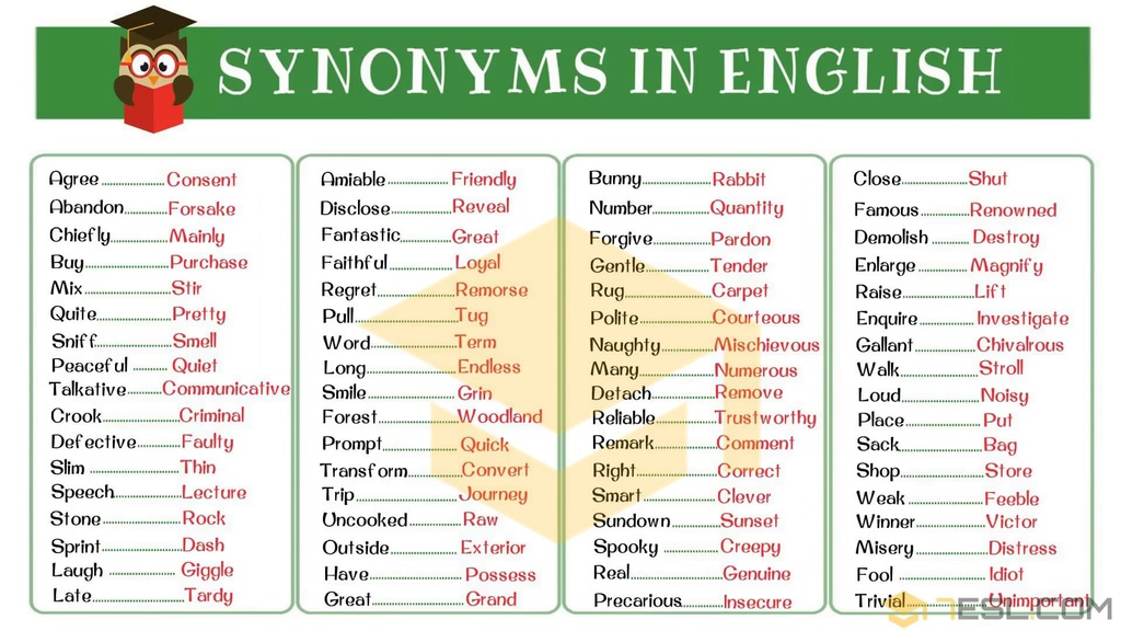 Synonyms-3