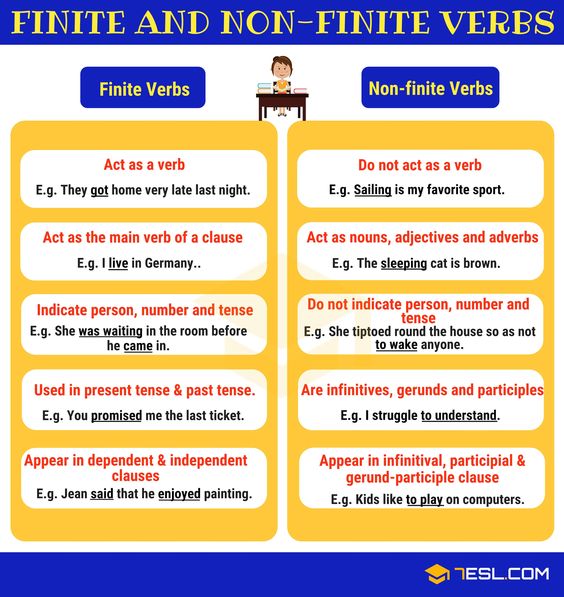 Finite and Nonfinite Verb