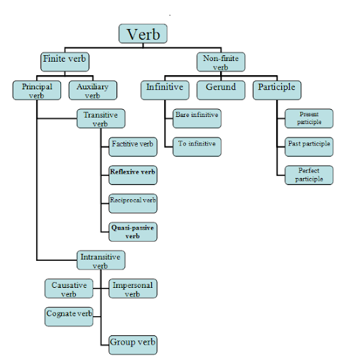 Verb and its type