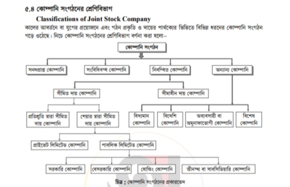 কোম্পানির সংগঠনের শ্রেণীবিভাগ