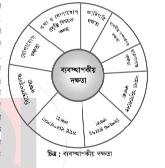 ব্যবস্থাপকীয় দক্ষতা